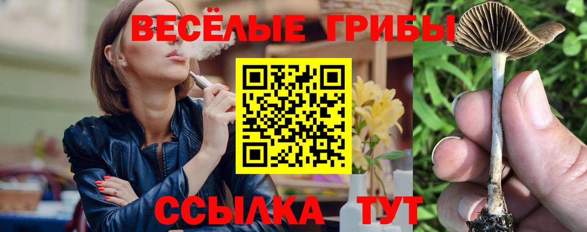 Мичуринск  Псилоцибиновые грибы GOLDEN TEACHER  Вход с VPN  Псилоцибиновые грибы прущие грибы 